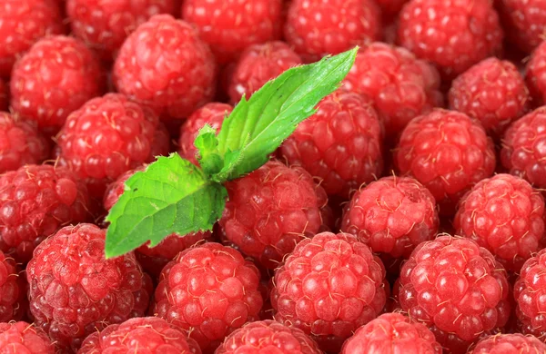 Ripe sweet raspberries, close up — Stock Photo, Image