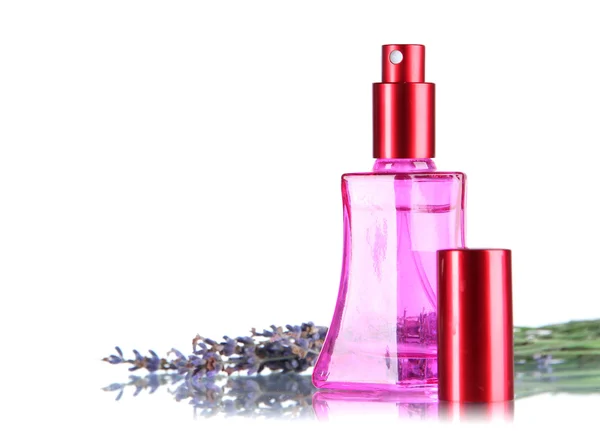 Parfum in fles en lavendel geïsoleerd op wit — Stockfoto