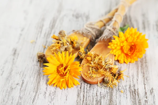 Fresh and dried calendula flowers on wooden background — Stock Photo, Image
