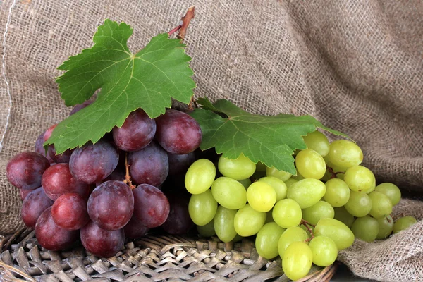 Ripe delicious grapes on table close-up — Stock Photo, Image