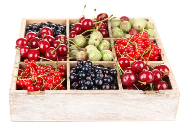 Different summer berries in wooden crate isolated on white — Stock Photo, Image