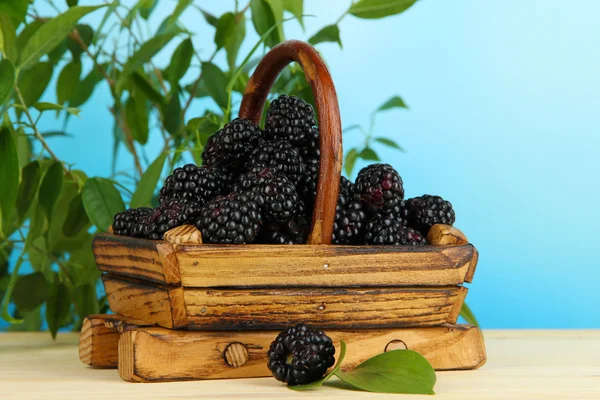 成熟黑莓在自然背景上的木桌上的篮子里 — 图库照片