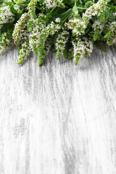 Frische Minzblüten auf Holzgrund — Stockfoto