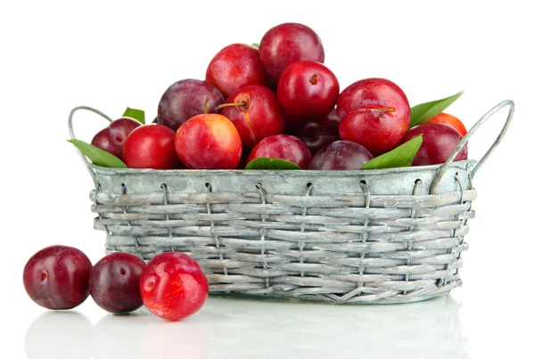 Ripe plums in basket isolated on white — Stock Photo, Image