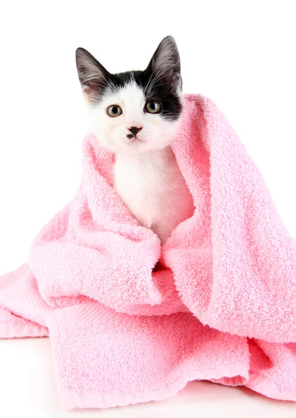 Kleine kitten in roze handdoek geïsoleerd op wit — Stockfoto