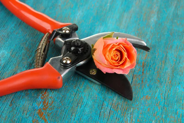 Tijeras de jardín y rosa en la mesa de madera de primer plano — Foto de Stock