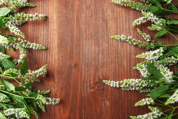Fiori di menta fresca su sfondo di legno — Foto Stock