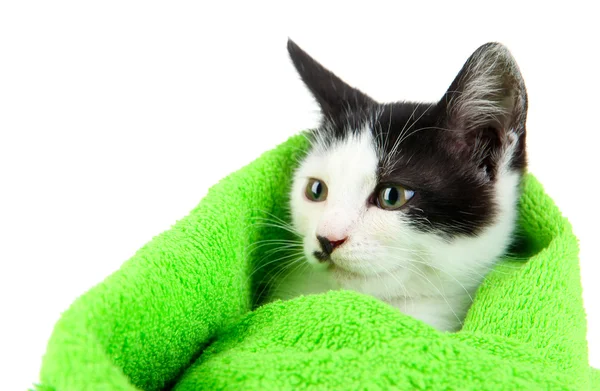 Small kitten in green towel isolated on white — Stock Photo, Image