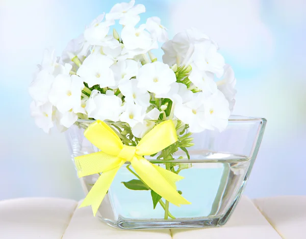 Beau bouquet de phlox dans un bol sur table sur fond clair — Photo