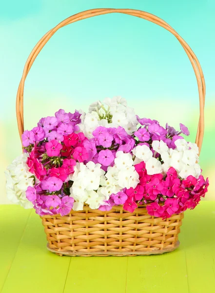 Piękny bukiet kwiaty domowe w wiklinowym koszu na stole na jasnym tle — Zdjęcie stockowe