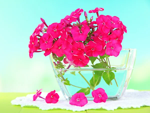 Beautiful bouquet of phlox in bowl on table on light background — Stock Photo, Image