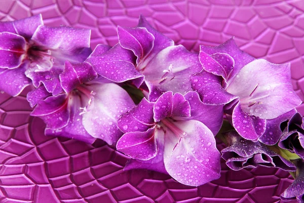 Beautiful gladiolus flower in water on purple background — Stock Photo, Image