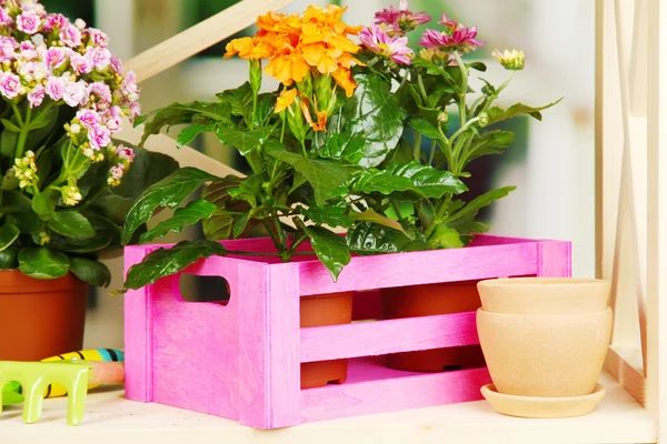 Hermosas flores en macetas en estantes de madera sobre fondo natural — Foto de Stock