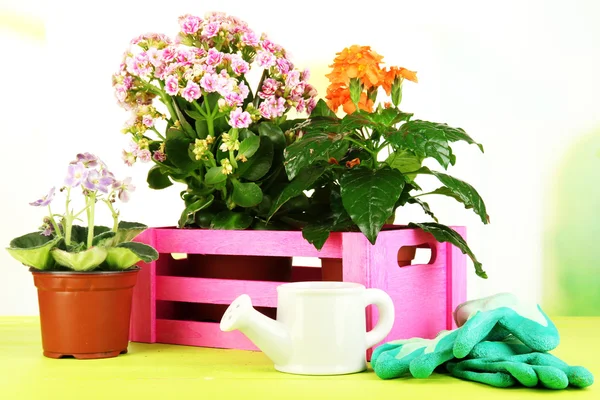 Schöne Blumen in Töpfen auf Holztisch vor natürlichem Hintergrund — Stockfoto