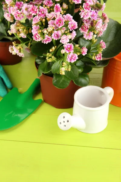 Hermosas flores en macetas en la mesa de madera de cerca — Foto de Stock