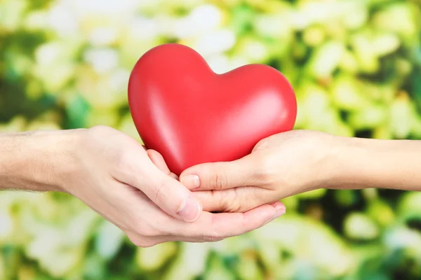 Heart in hands on nature background — Stock Photo, Image