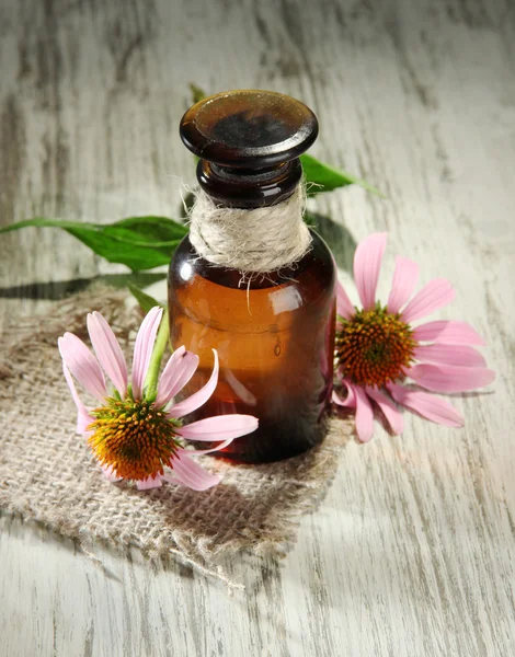 Medicine bottle with purple echinacea flowers on wooden table — Stock Photo, Image