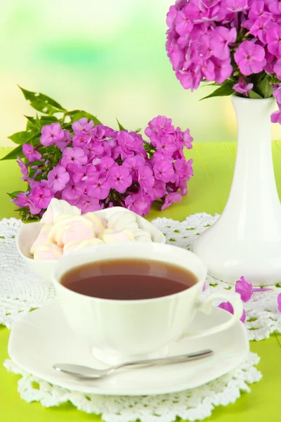 Hermoso ramo de flox con taza de té en la mesa sobre fondo claro — Foto de Stock