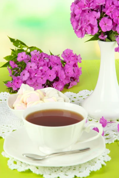 Beautiful bouquet of phlox with cup of tea on table on light background — Stock Photo, Image