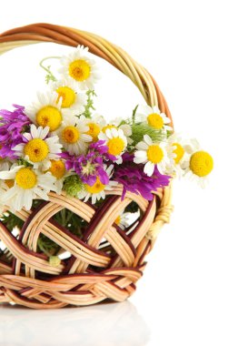 güzel kır çiçekleri sepeti, üzerinde beyaz izole