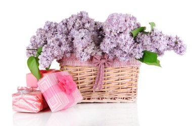 Eflatun çiçekler üzerinde beyaz izole çok güzel