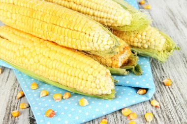 taze Mısır sebze ahşap tablo