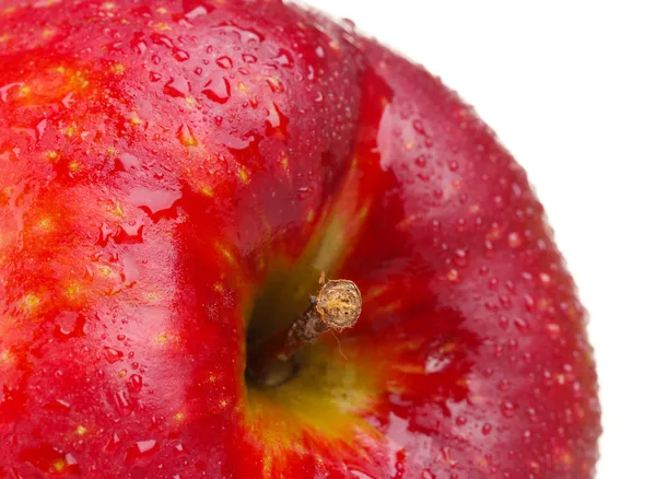 Saftiger roter Apfel mit Tropfen isoliert auf weißem — Stockfoto