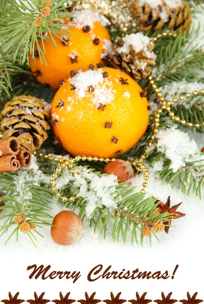 Portakal ve köknar ağacı yakın çekim Noel kompozisyonu — Stok fotoğraf