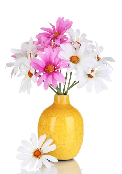 Beautiful daisies in colorful vase isolated on white — Stock Photo, Image