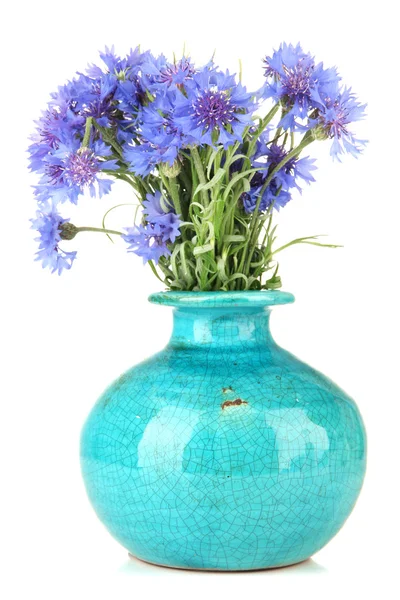 Beau bouquet de bleuets en vase, isolé sur blanc — Photo