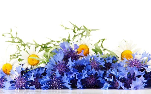 Beautiful cornflowers and chamomiles ,isolated on white — Stock Photo, Image