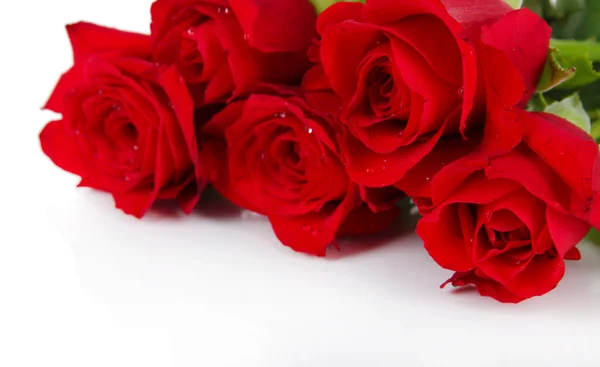 Piękny bukiet róż odizolowanych na białym — Zdjęcie stockowe
