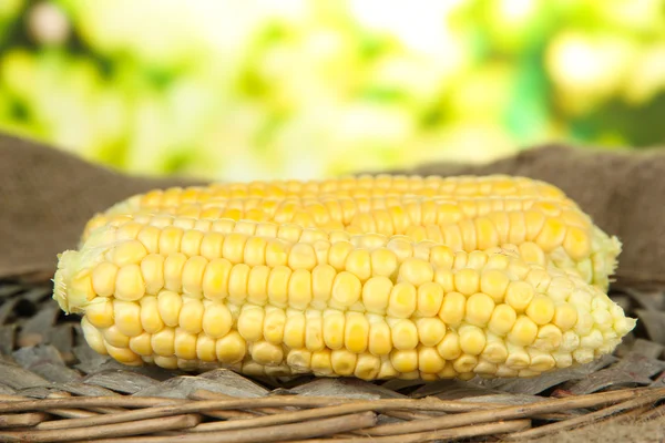 Fresh corn on sackcloth, on bright background — Stock Photo, Image