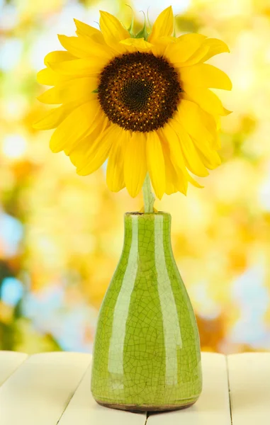 Bright sunflower in vase on wooden table on natural background — Stock Photo, Image