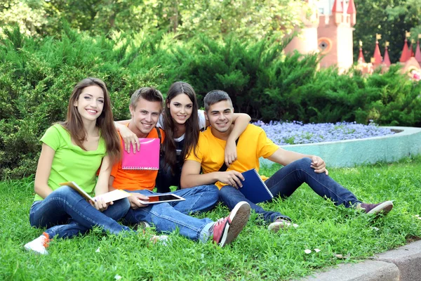 Glad grupp unga studenter sitter på ängen — Stockfoto
