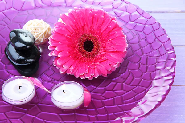 Spa 石块、 美丽的非洲菊和上水蜡烛 — 图库照片