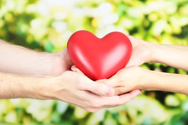 Corazón en manos en el fondo de la naturaleza —  Fotos de Stock