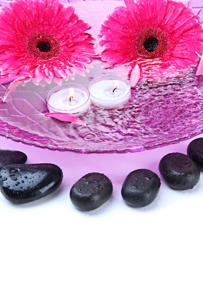 Pedras de spa, flores de gerbera e velas na água, isoladas em branco — Fotografia de Stock