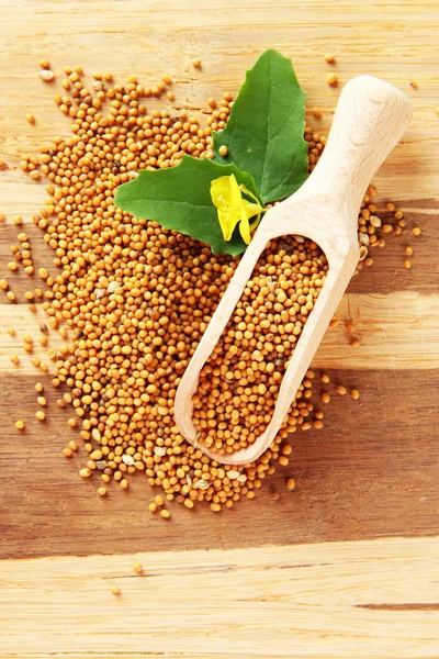 Mustard seeds with mustard flower on wooden background — Stock Photo, Image