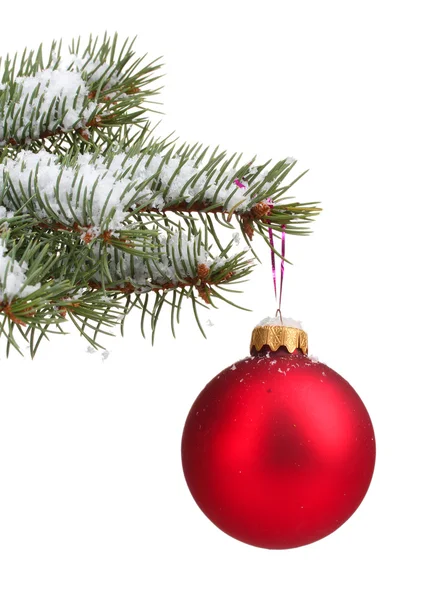 Christmas ball on the tree isolated on white Stock Image