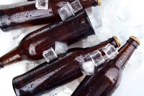 Bierflessen in ijsblokjes close-up — Stockfoto