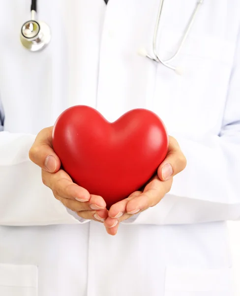 Medical doctor holding heart — Stock Photo, Image