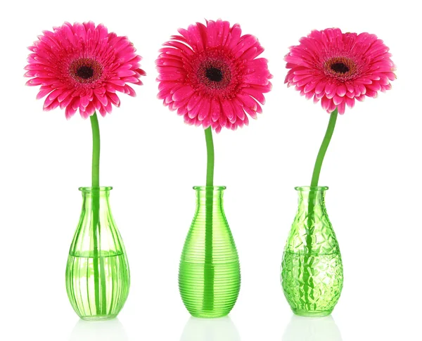 Belas flores de gerbera rosa em vasos isolados em branco — Fotografia de Stock
