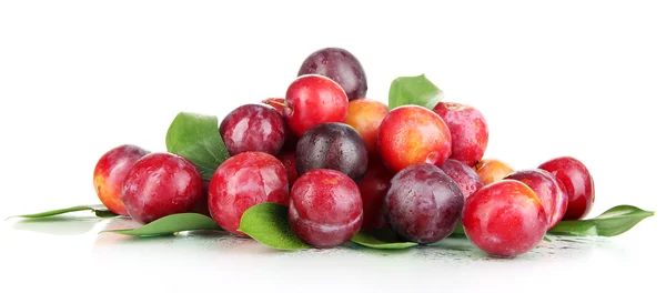 Ripe plums isolated on white — Stock Photo, Image