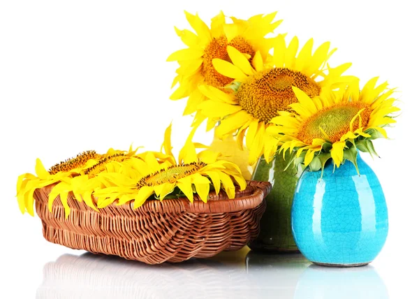 美丽向日葵彩色花瓶和柳条篮上白色隔离 — 图库照片