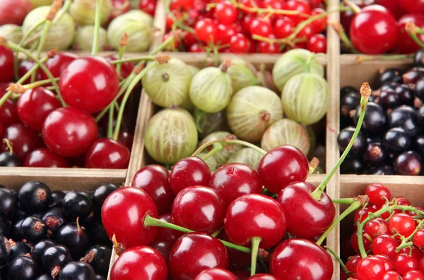 Різні літні ягоди в дерев'яній ящику, крупним планом — стокове фото