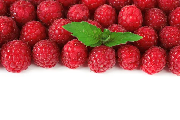 Ripe sweet raspberries isolated on white — Stock Photo, Image