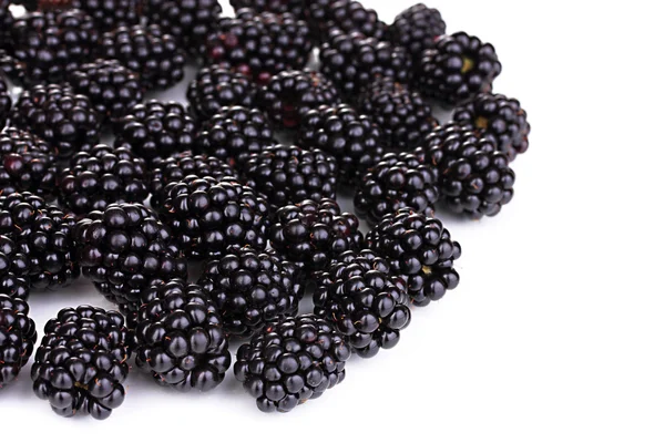 Sweet Blackberry isolated on white — стоковое фото