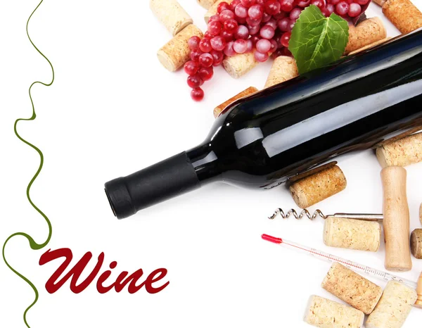 Bottle of wine, grapes and corks, isolated on white — Stock Photo, Image