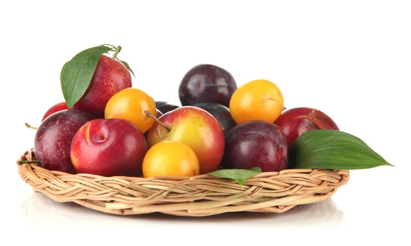 Ripe plums in basket isolated on white — Stock Photo, Image